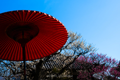 和傘のある風景２