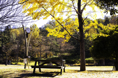 秋のベンチ