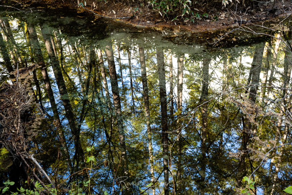 水底の空　再び