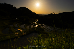 水田の風景