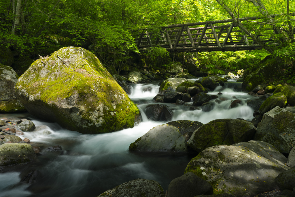 滝へ続く橋