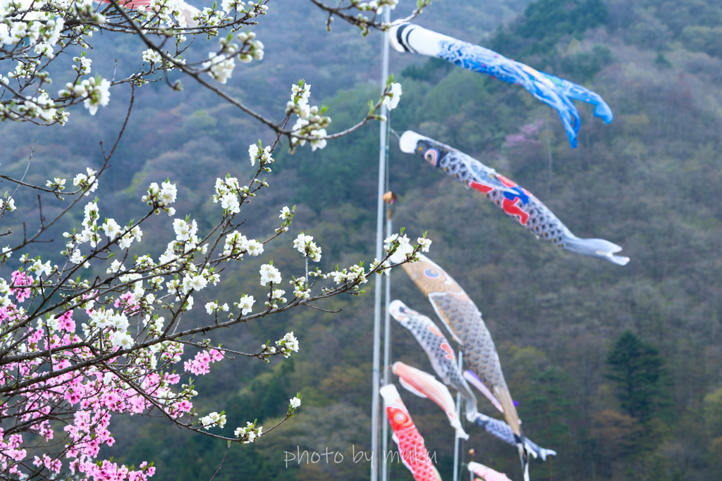 山間の風を受けて