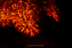 禊ぎ祓え 禊ぎ祓え