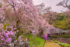 花の参道