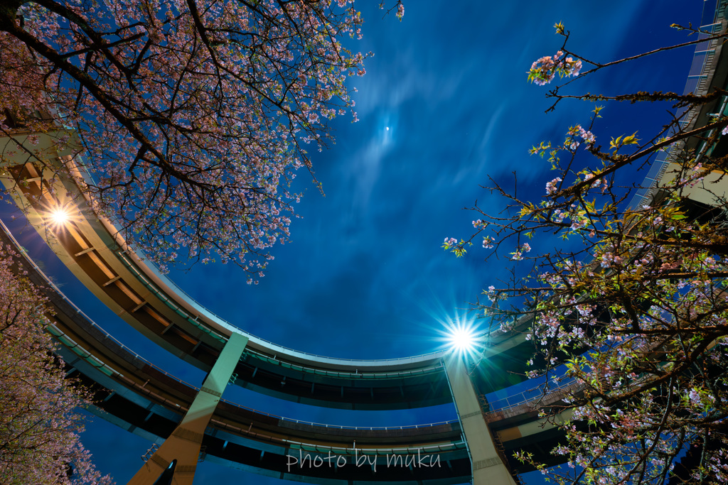 月夜のループ橋