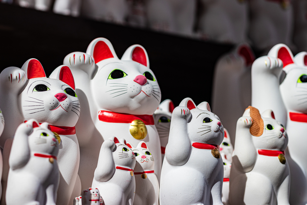 いらっしゃいませ！