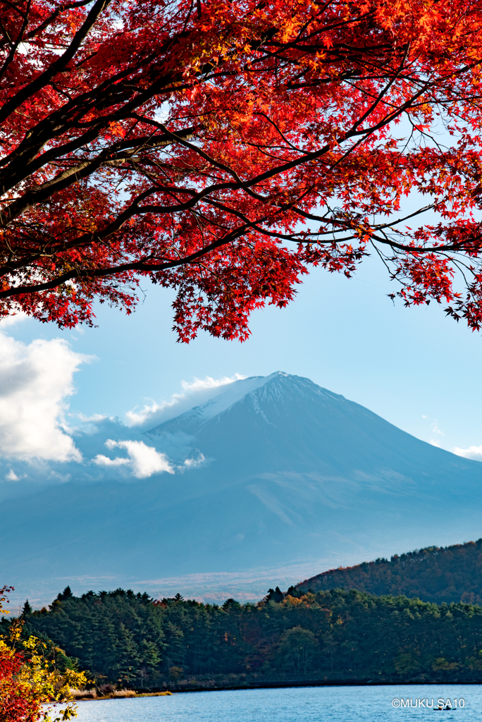 紅葉トンネルからの富士山