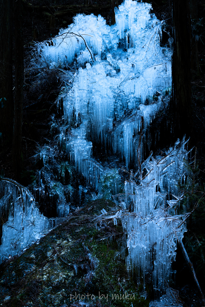 ICE Tree２