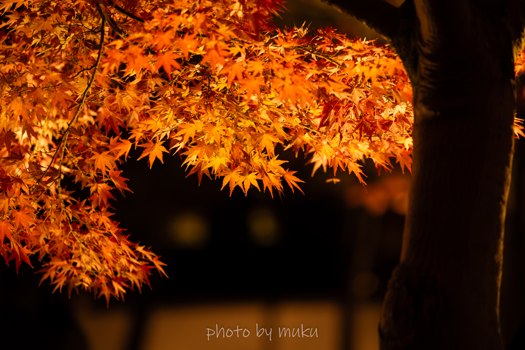 更けていく夜