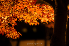 更けていく夜