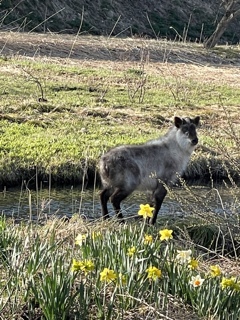 62429BA9-2F29-49B6-8CE7-6F49FDBDB085