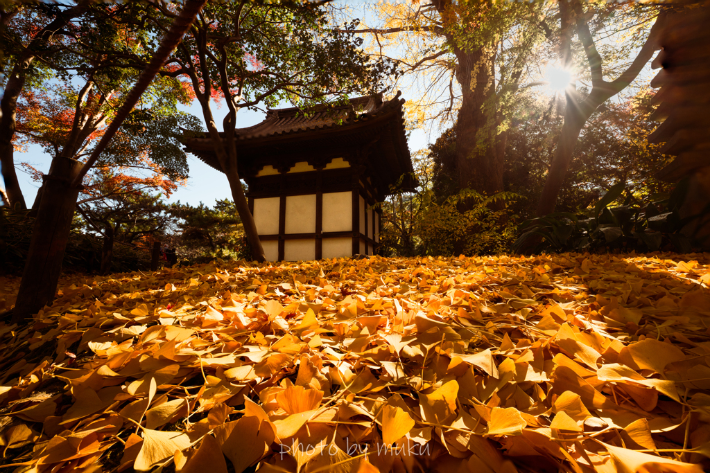 旧天瑞寺寿塔覆堂