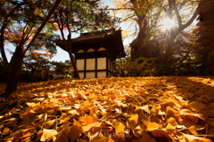 旧天瑞寺寿塔覆堂