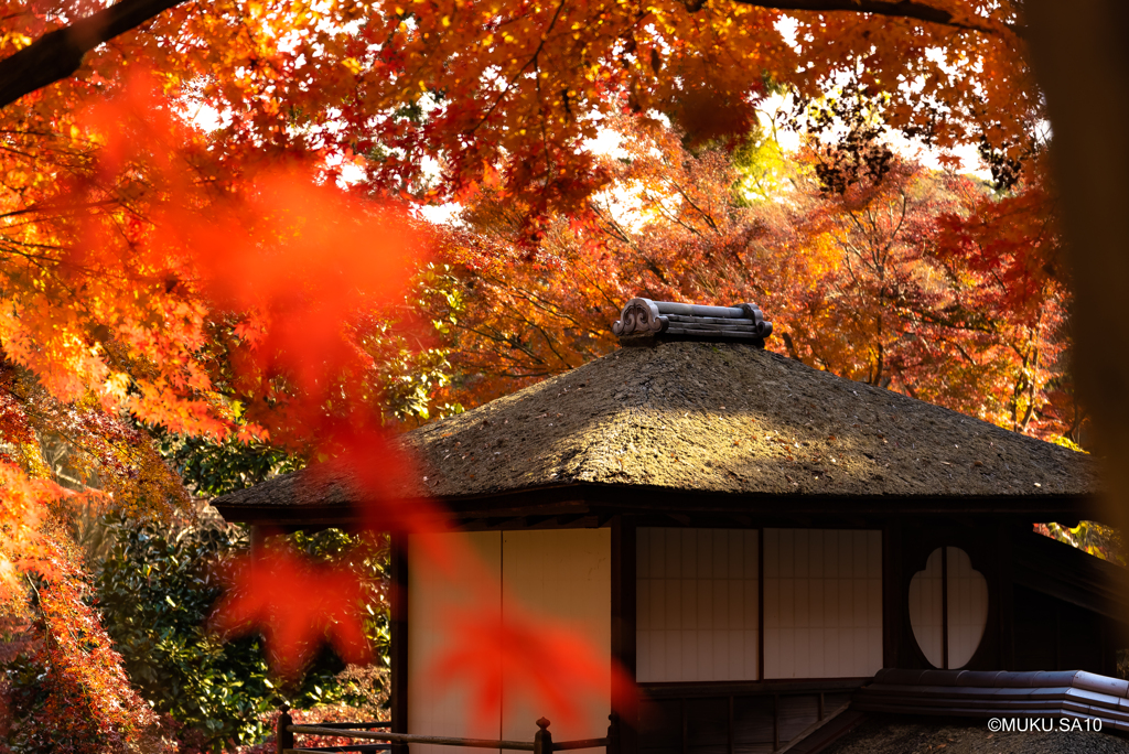 山荘