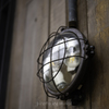Light