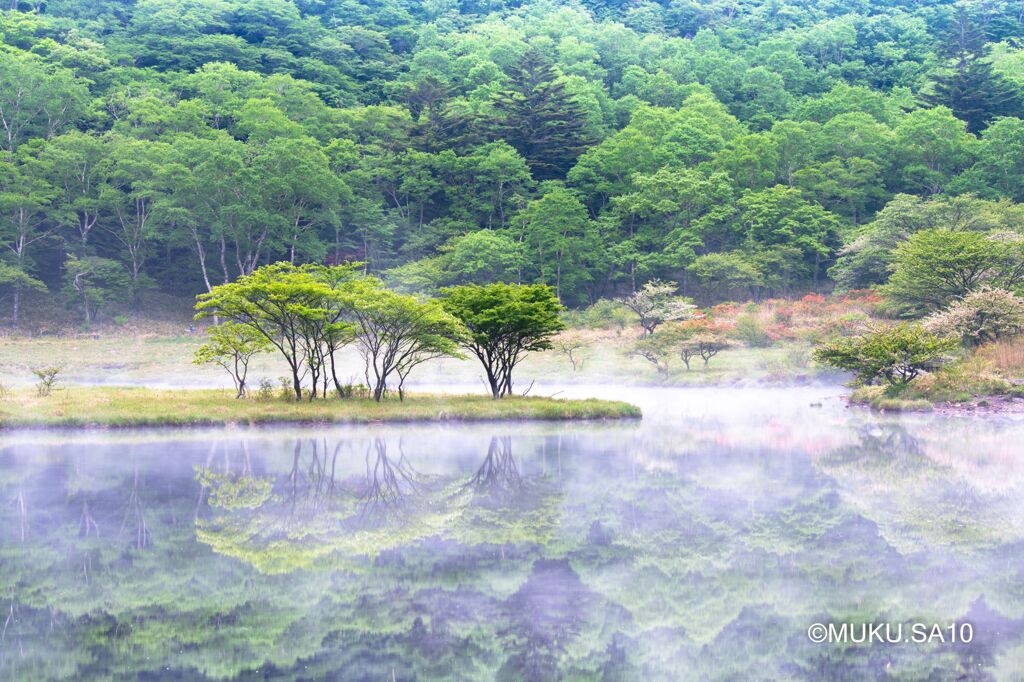 覚満淵の朝