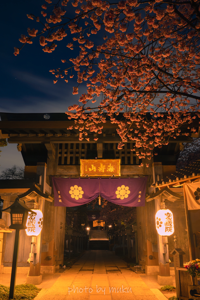 密蔵院、夜明けまえ１