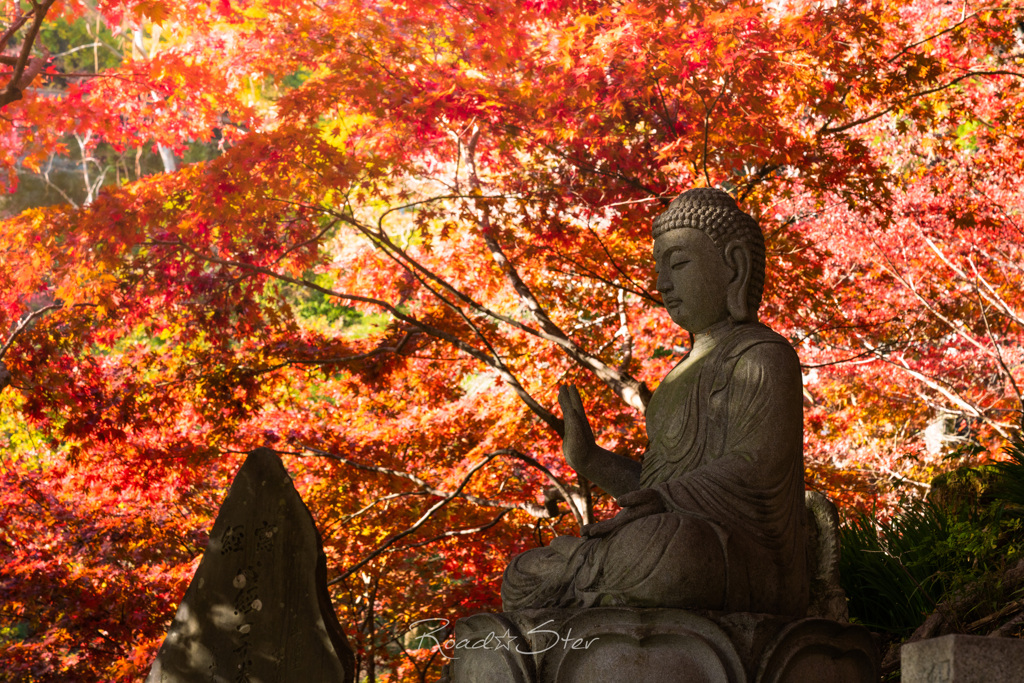 紅葉のしたの仏さま