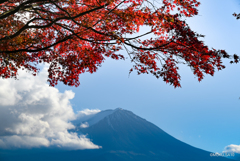 紅葉トンネルから望む（試写）