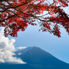 紅葉トンネルから望む（試写）