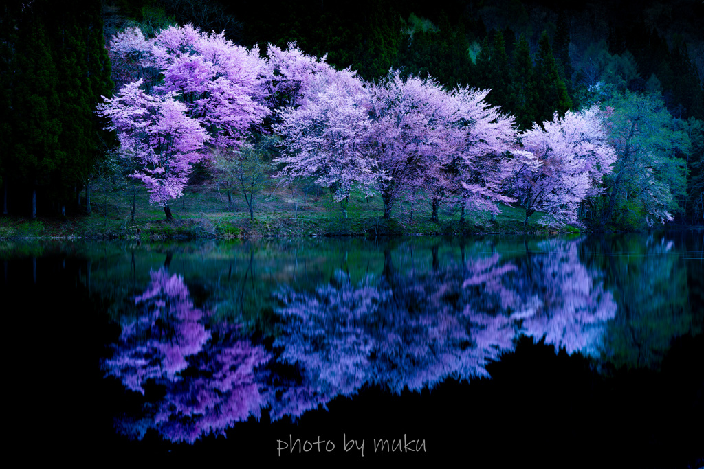 夜明け前
