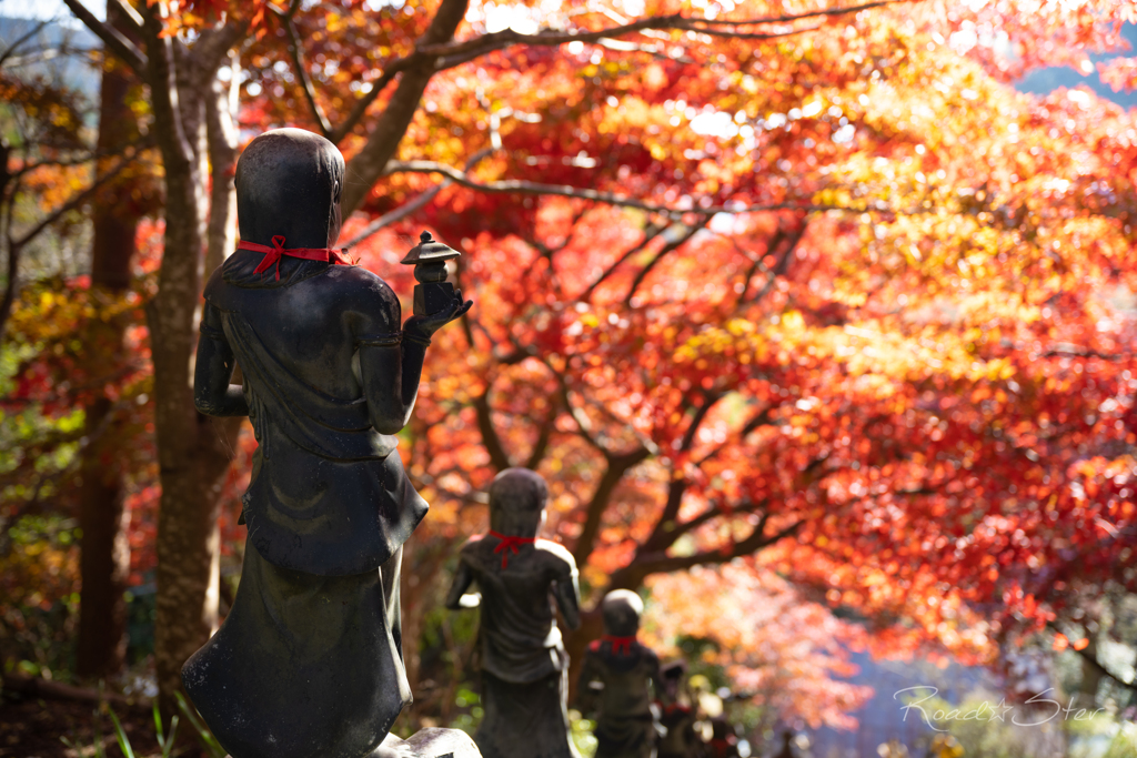 朝日に向かって