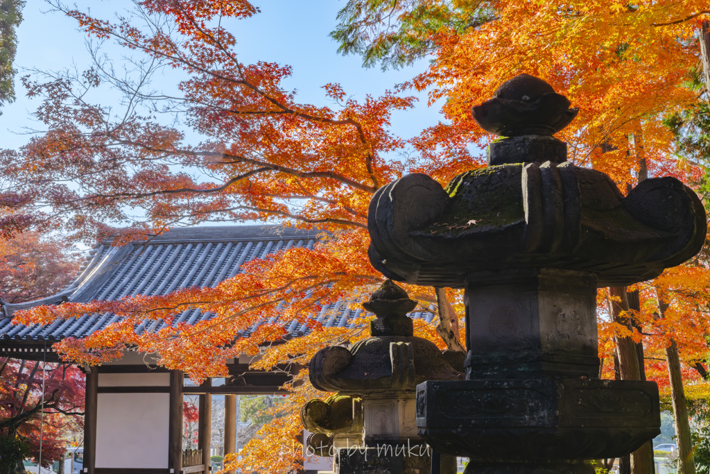 能仁寺の石灯籠