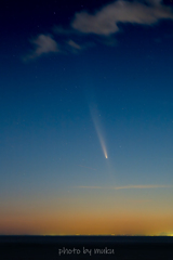 紫金山アトラス彗星