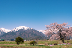 安曇野の春景