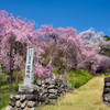 春の龍珠院