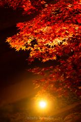 灯１