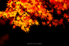 闇より出で 闇より出で