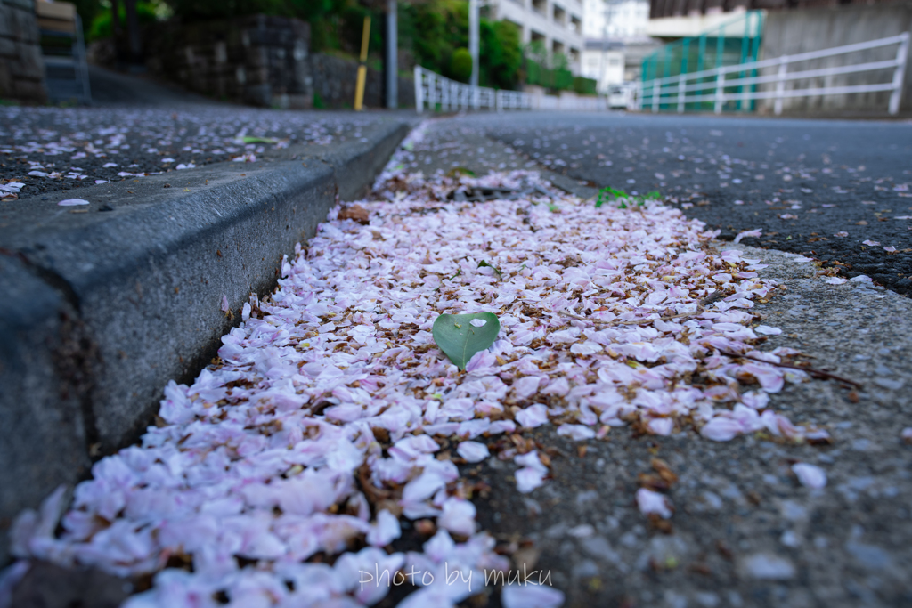 路傍の