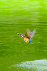 離水