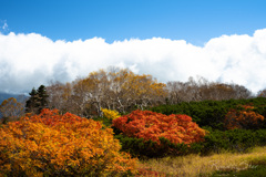 宝徳雷神近辺の紅葉
