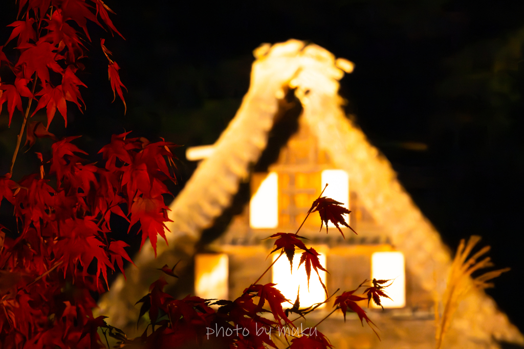秋の夜長に
