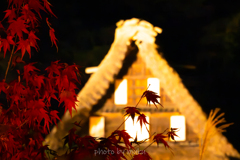 秋の夜長に