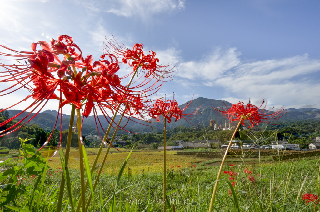 武甲山をひかえて３