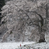 上発地の雪景色