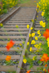Railway