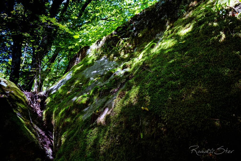 苔の巨岩