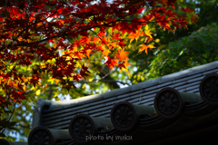 山門を照らす光