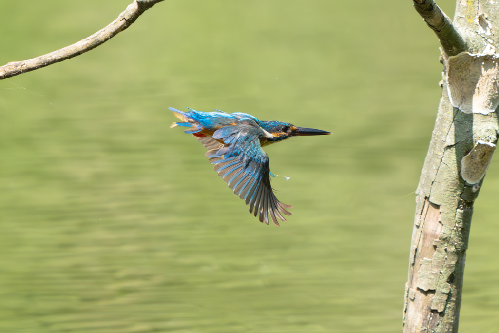 実は空振りあと