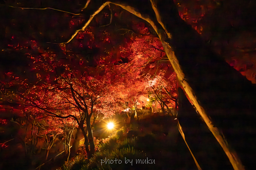 夜に照らされて