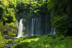 富士白糸の滝