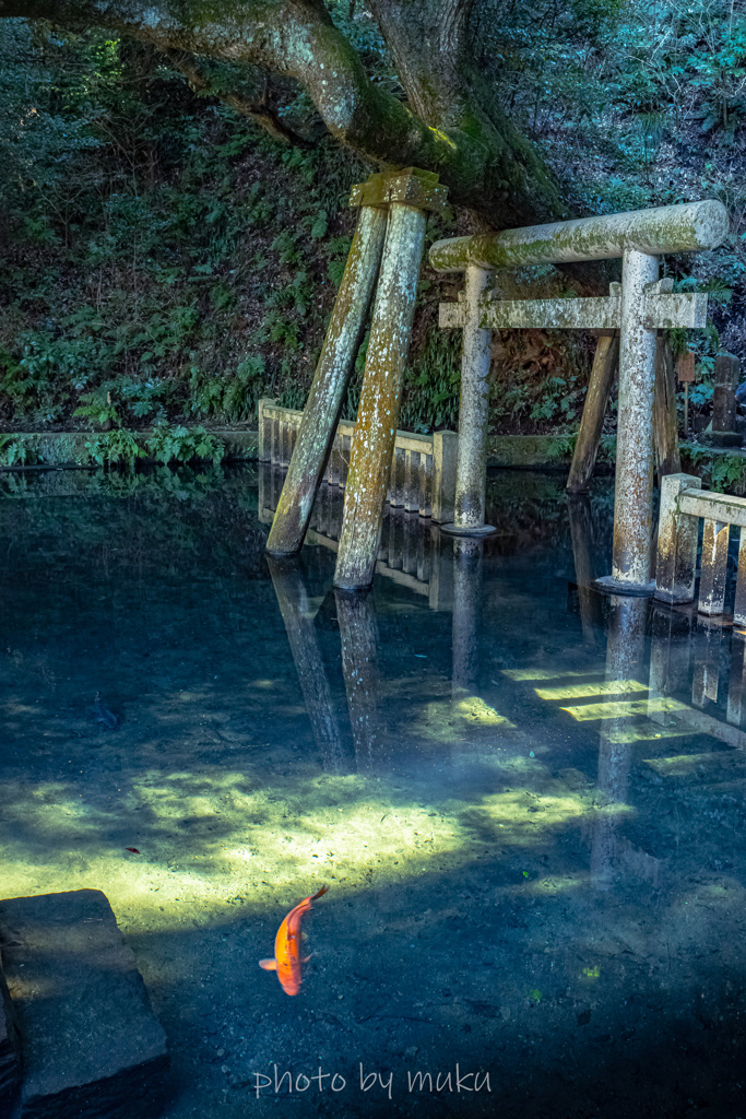 神の池をいく