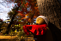 どうぞお持ちください