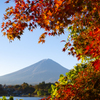 紅葉越しに