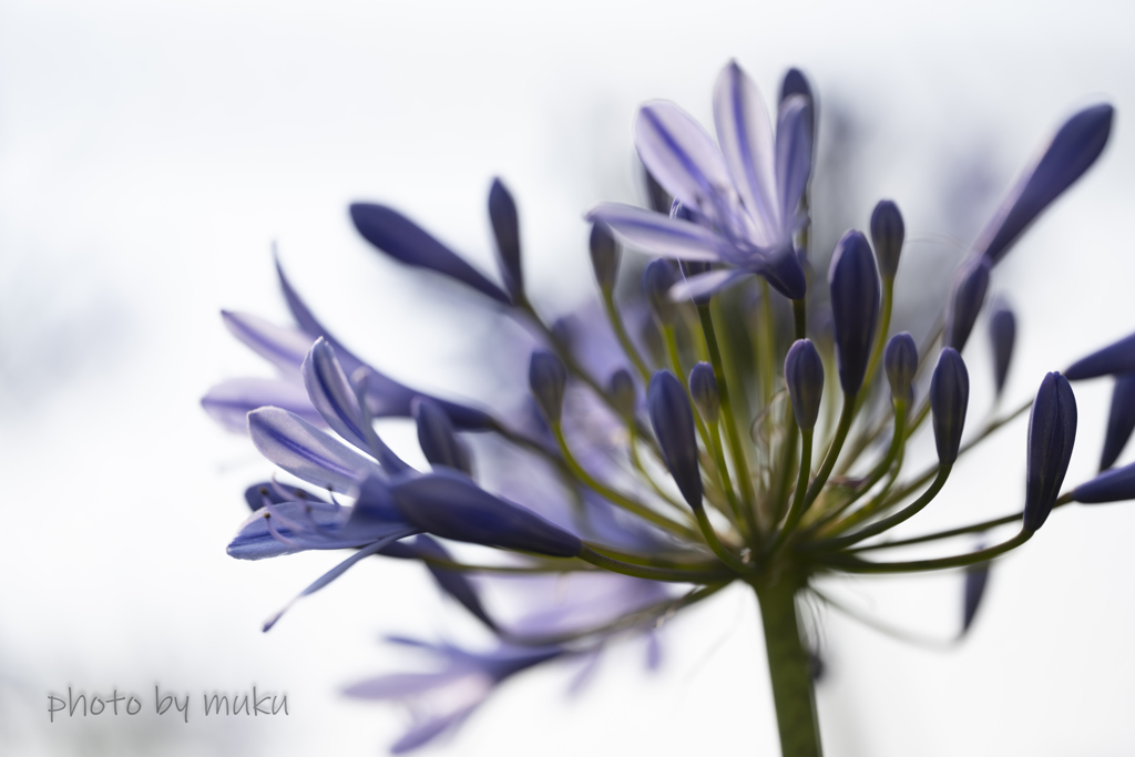 光に包まれる２