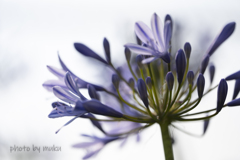 光に包まれる２